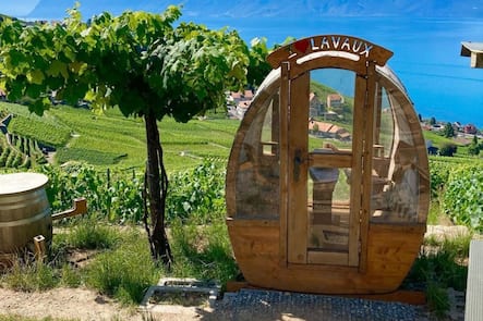 domaine-vitis-musicalis-bourg-en-lavaux-fondue-vaud