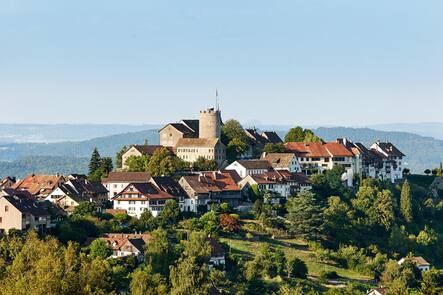 Relais & Châteaux Krone Regensberg, Hotel & Restaurant, ZH Relais & Châteaux Krone Regensberg, Hotel & Restaurant, ZH