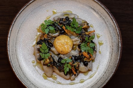 GAULTMILLAU-CHANNEL-FRENCHIE-VERBIER