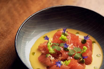 Al Dente, Zürich, Barranco, Salmòn tiradito