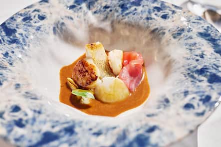 Gault Millau; Mamma Leone; Cacciucco alla Livornese, Hummberbisque, Meeresfischfilet, Crevetten, Venusmuschel, Jakobsmuschel