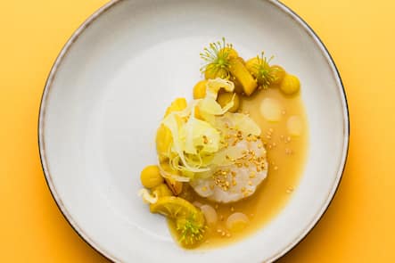 Das Stucki wird zur Krug Ambassade. 16. Mai 2024. Villa Stucki in Basel. Copyright: Roy Matter Jakobsmuschel-Ceviche mit Fenchel und ZitroneÂ