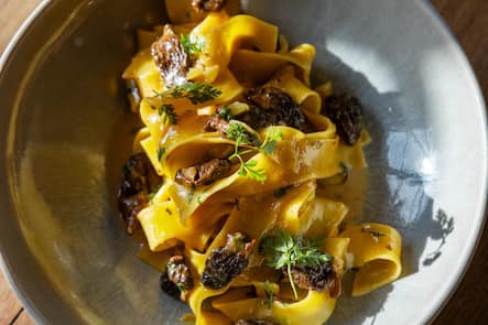 14.01.2026, Zürich, La Scarpetta, Gericht; Papardelle con spugnole mit Morcheln (photo by Remy Steiner for Gault Millau)