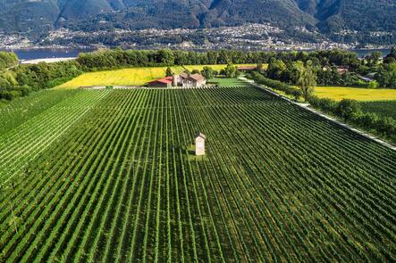 Terreni alla Maggia, Castello dek Sole, Ascona