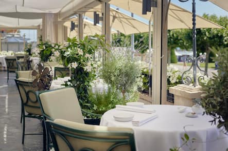 GAULTMILLAU-CHANNEL-GENEVE-CHAT-BOTTE