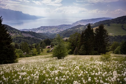 GM MOB, Restaurant Auberge de la Cergniaulaz, Les Avants