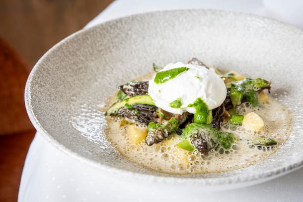 Gnocchis, sauce aux morilles et ail des ours Besuch bei Monsieur Ben, einem Morchelzüchter, der u.a. das Croix-Blanche beliefert. Zubereitung durch Arno Abächerli im Restaurant Croix-Blanche in Villarepos wo er ein Morchelgericht kocht. Arno Abächerlis Morchelgericht, Aufgenommen am 01.04.2025 ©David Birri