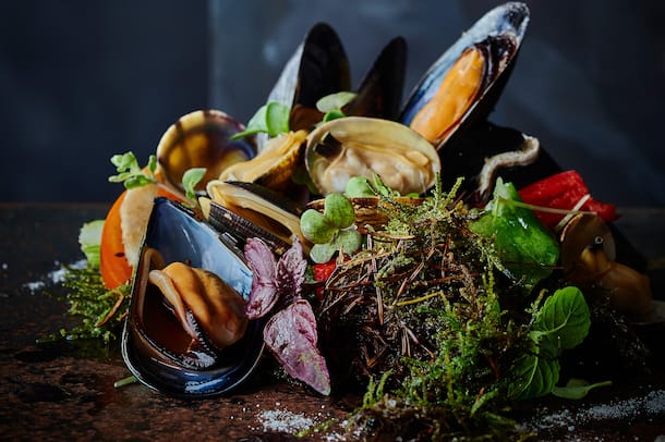 Muscheln wandern zum Walde Rezept Feuerring Kochbuch Muscheln