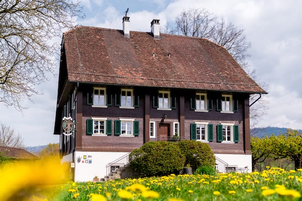 Wildenmann Dominic Bürli Wildenmann Buonas