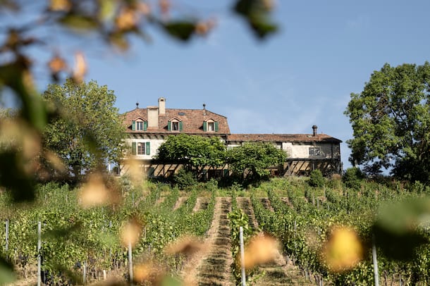 Domaine de Châteauvieux Domaine de Chateauvieux. Satigny, Geneve, GE