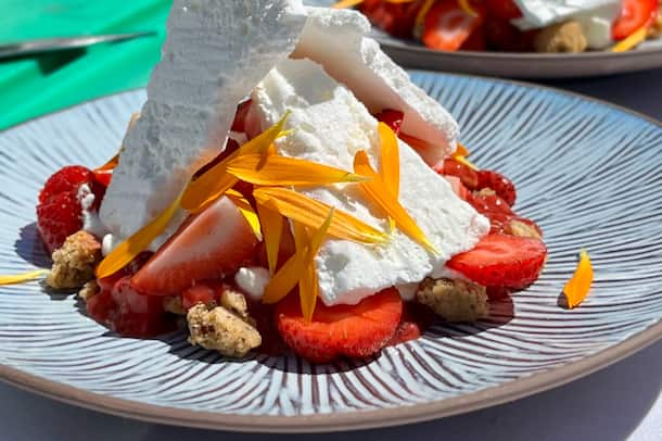 Pavlova In English Please