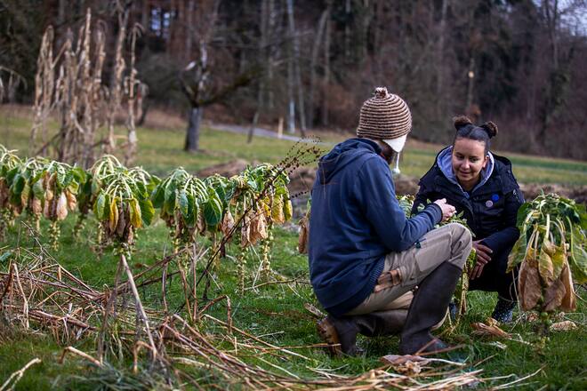 Zineb Hattab Kle Zürich