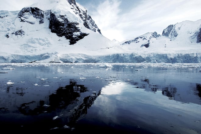 Glacier 51 Toothfish, Schwarzer Seehecht, Austral Fisheries