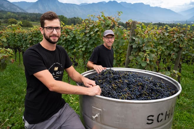 Wie der Vater, so der Sohn: Georg und Georg Schlegel Weingut zur Alten Post, Georg Schlegel junior © Hans-Peter Siffert