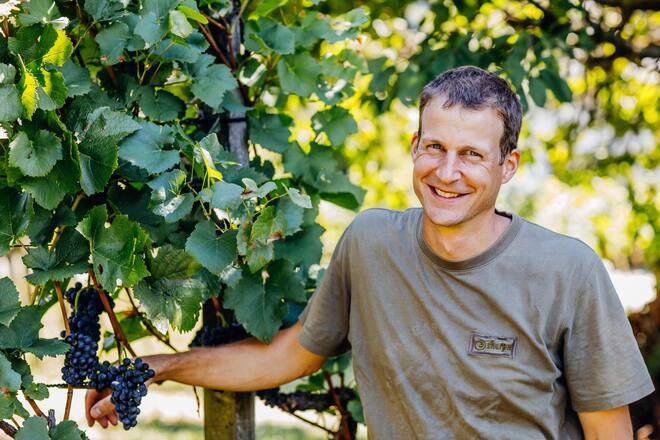 Adrian Hartmann, Adrians Weingut, Biodynamische Weine, Oberflachs. Aargau, AG