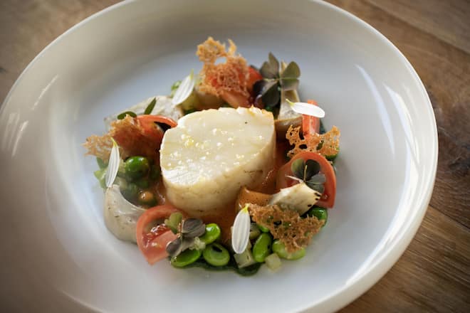 GM_Anna_Schwarzer Seehecht (Glacier 51) mit mediterranem Gemüse