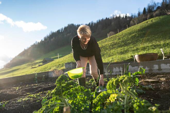 Tavolata bei Bernadette Odermatt, Oberbürgen, am Lauch ernten