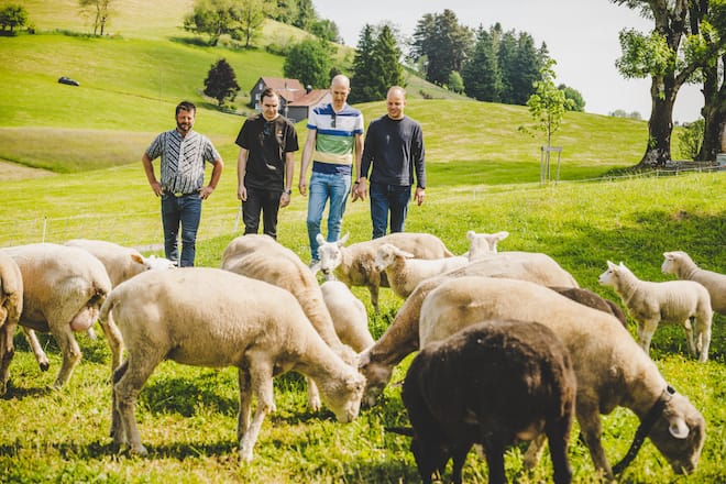 Dario Bianchi besucht mit Gilad Peled Chef vom Mandarin Oriental Luzern, die Lammzucht von Hans und Irene Hohl 2023