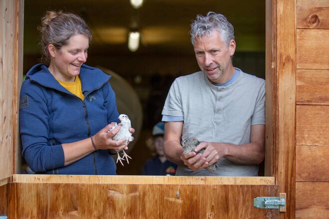Martin Göschel und Anna Bach mit japanischen Legewachteln