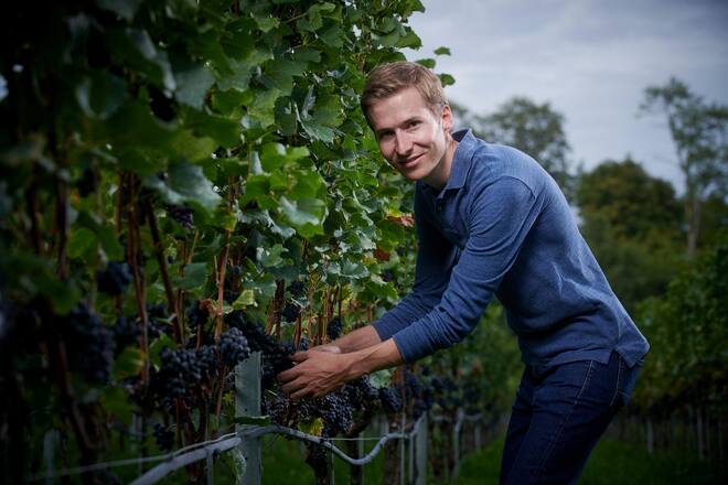 Cortaillod, le 13 septembre 2022,Morgan Meier DOMAINE DES LANDIONS © Sedrik Nemeth