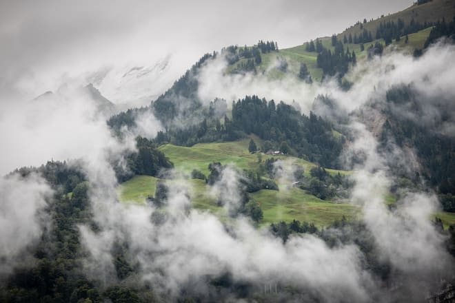 Maria Rickenbach (Kaffe Rüsterei))