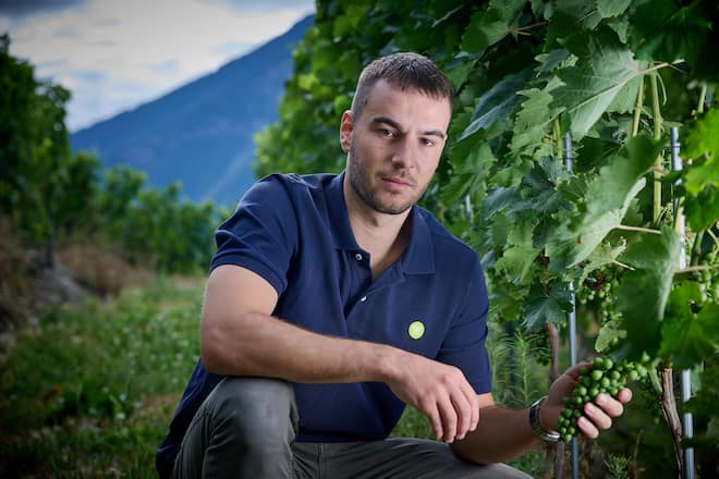Saillon, le 25 juillet 2023, Clément Luisier Vigneron encaveur, © Sedrik Nemeth