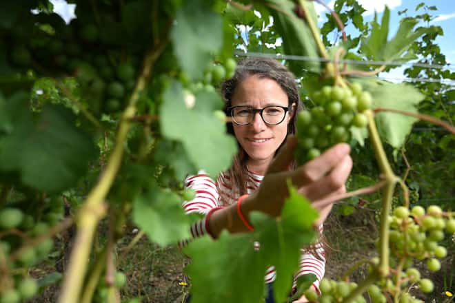 Satigny, le 7 août 2023, Camille Cretegny, vigneronne au domaine de la Devinière © Sedrik Nemeth