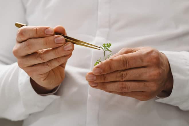 Niklas Schneider Paradies Baden