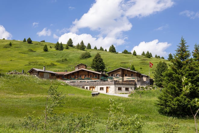 Fadri Arpagaus mit seinen Rindern auf der Alp