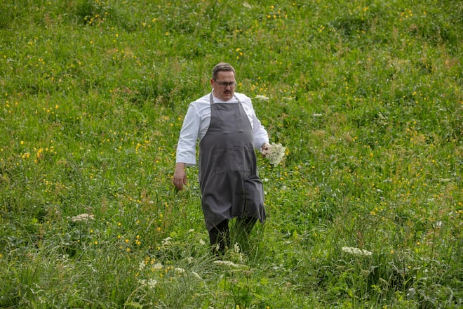 Benoît Carcenat Küchenchef Valrose, sammelt Wiesenblumen.