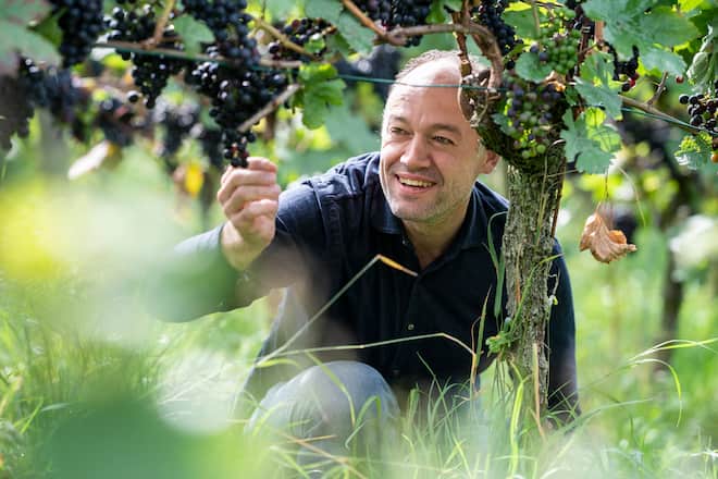 Gregory Rohmer; sommelier bei Tanja Grandits, besucht Besson Strasser Weinbau , Uhwiesen Grégory Rohmer, Sommelier, Cédric Besson, Weingut © Nik HungerÂ