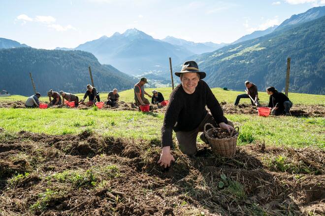 Hansjoerg Ladurner , Scalottas Lenzerheide, Kartoffelernte in Lain