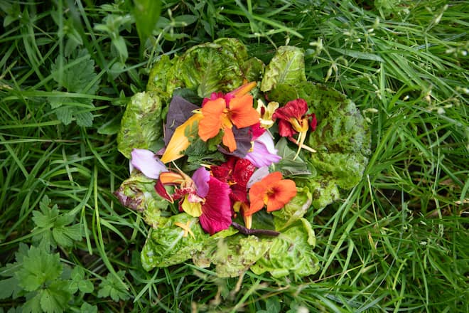 Salade de la Pinte des Mossettes