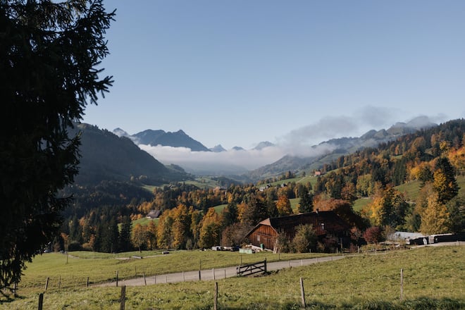 Pinte des Mossettes, Bénichon in der Pinte, 12. Oktober 2025, Pinte des Mossettes, Cerniat, Copyright Roy Matter Bénichon Pinte des Mossettes, Cerniat, FR