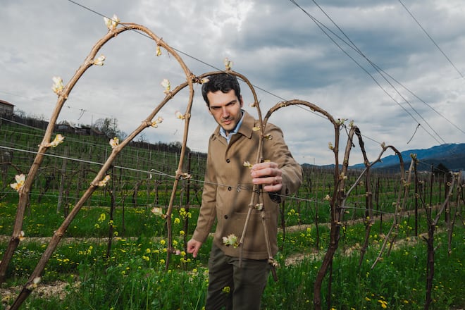 Davide Roncada (Chefönologe) von Valdo Spumanti Mondovino Geschichte
