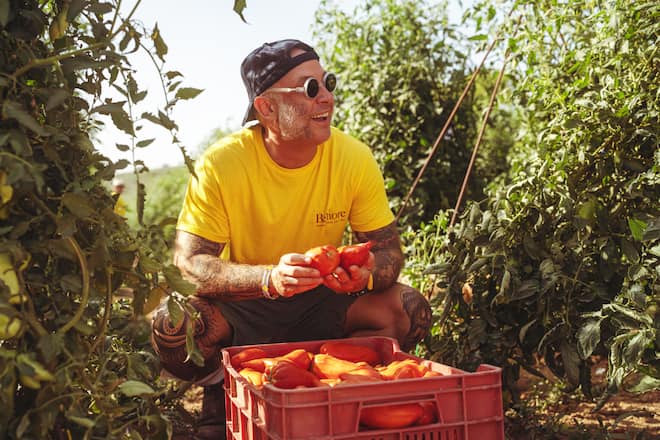 Tomaten und Olivenbauern Agenzia Agricola Belfiore in Loreto Aprutino Marco Ortolani und sein Team in Abruzzo, Italien Pastamanufaktur und Tomatenbauern in Abruzzen