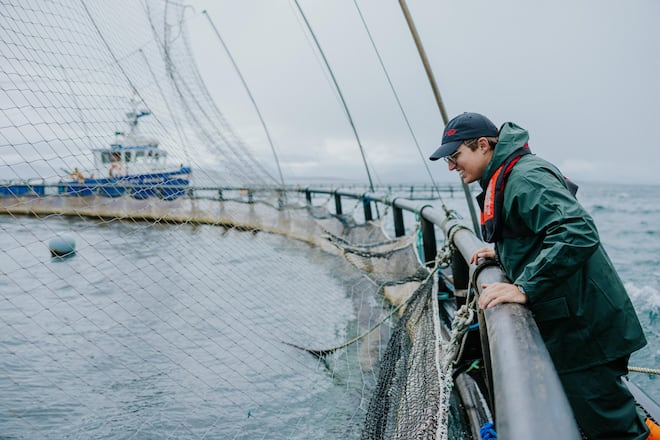 Luca Bianchi auf Lachsfarm in Irland