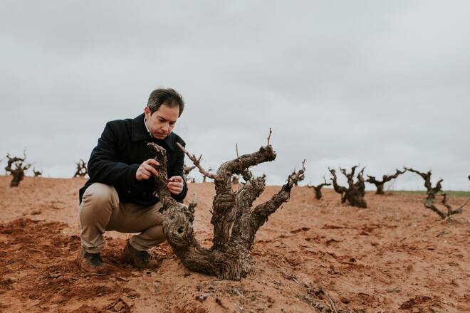 Jorge Bombin - Weingut Bodega Legaris - Ribera del Duero - Valladolid, Spanien