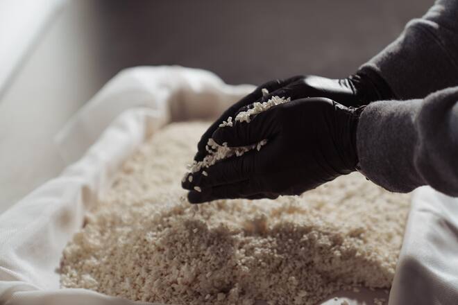 Yamasake Knonau - Die Brüder Christian und Oliver Weibel produzieren Schweizer Sake in Knonau - März 2023 - Copyright Olivia Pulver