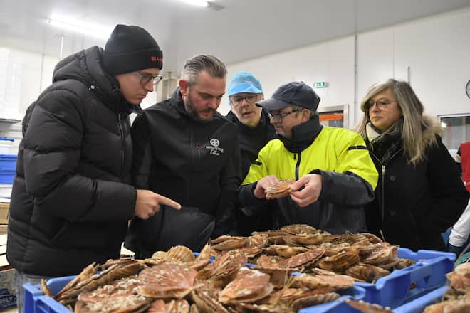 Bianchi: Jakobsmuschel Bianchi: Jakobsmuschel Byline: Bely / Bianchi