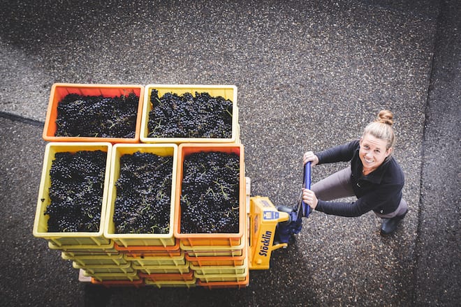 Weingut Andrey Schafis, Ligerz, BE