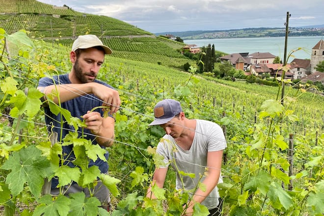 Roman Thürig und Manuel Schneiter vom Domaine Bonnet du Fou, Twann, BE.