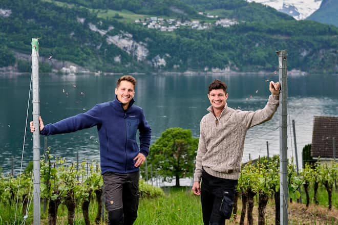 (v.l.n.r) Kevin Studer und Denis Koch übernehmen das Weingut Weingut Kastanienbaum â Mai 2024 â hurrah Fotografie Weingut Kastanienbaum, Kastanienbaum Luzern