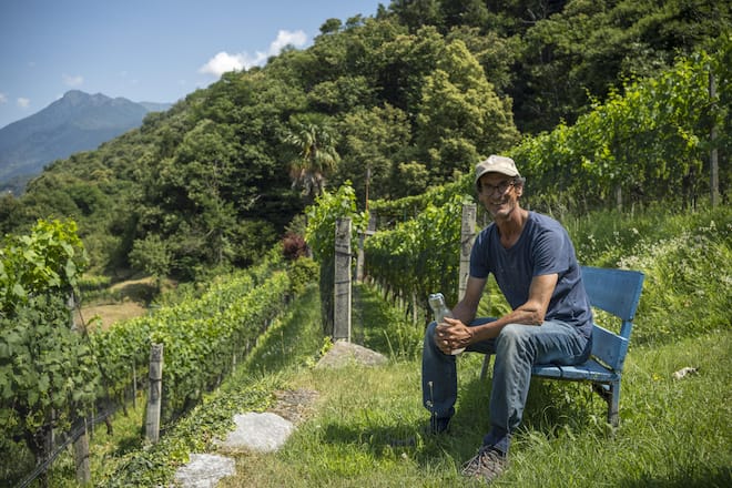 Vino Hauser, Urs Hauser, Contone, TI.