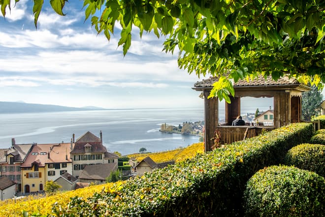 Chez Patrick Fonjallaz, Clos de la République à Epesses