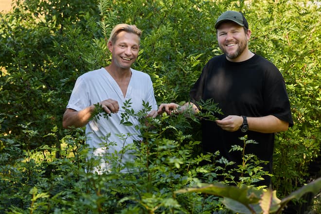 Pascal Steffen und Simon Jordi (Tamaki.ch) vor Pfefferplanze, Jordi's Garten am Laubenweg in 4450 Sissach