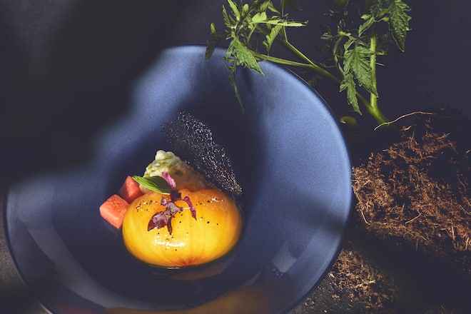 Tomates de couleur et tartare de chèvre frais