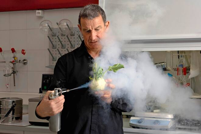 Denis Martin in seinem Küchenlabor, Vevey, VD, 2015