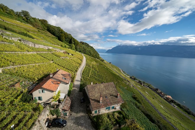 Lavaux, Domaine tour de marsens