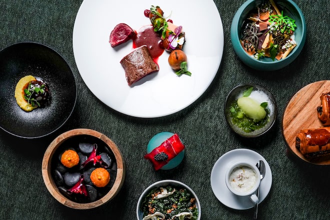 Chasse d'exception en approche chez Qoqa Rafael Rodriguez Qoqa